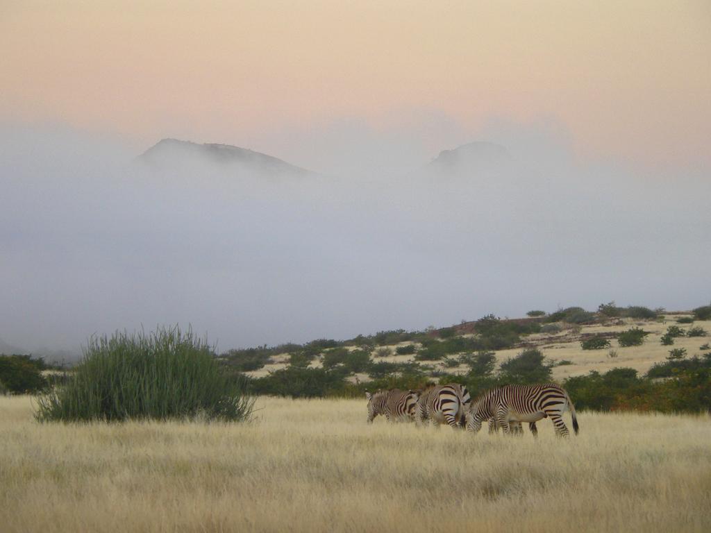 Etendeka Mountain Camp دامارالاند المظهر الخارجي الصورة