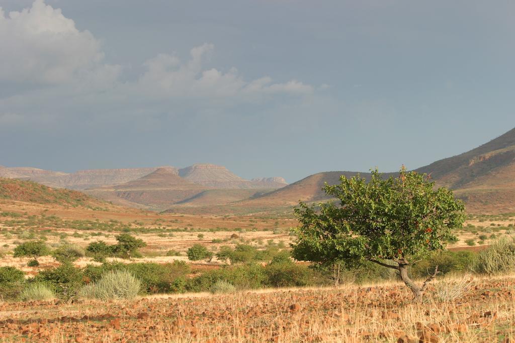 Etendeka Mountain Camp دامارالاند المظهر الخارجي الصورة