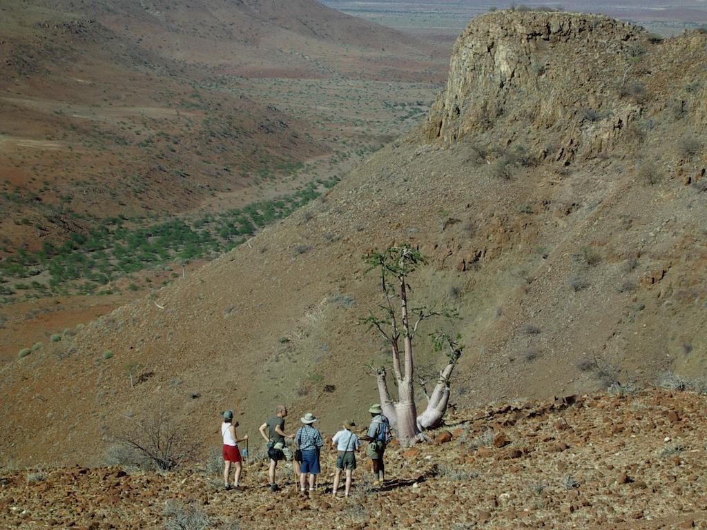 Etendeka Mountain Camp دامارالاند المظهر الخارجي الصورة